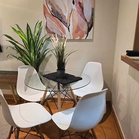 Providencia Departamento 2 Dormitorios 2 Banos Parcking Wifi Gratis